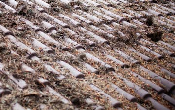 Yondertown roof cleaning companies